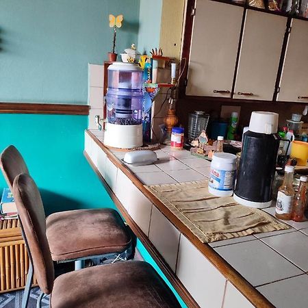 The Cozy Cactus House B&B Cartago Centro English Spoken Dış mekan fotoğraf