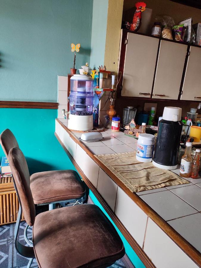 The Cozy Cactus House B&B Cartago Centro English Spoken Dış mekan fotoğraf